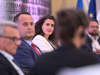 Decarbonization Path of WB6: From Sofia Declaration to National Strategic Documents